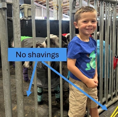 Shaving_free_stalls