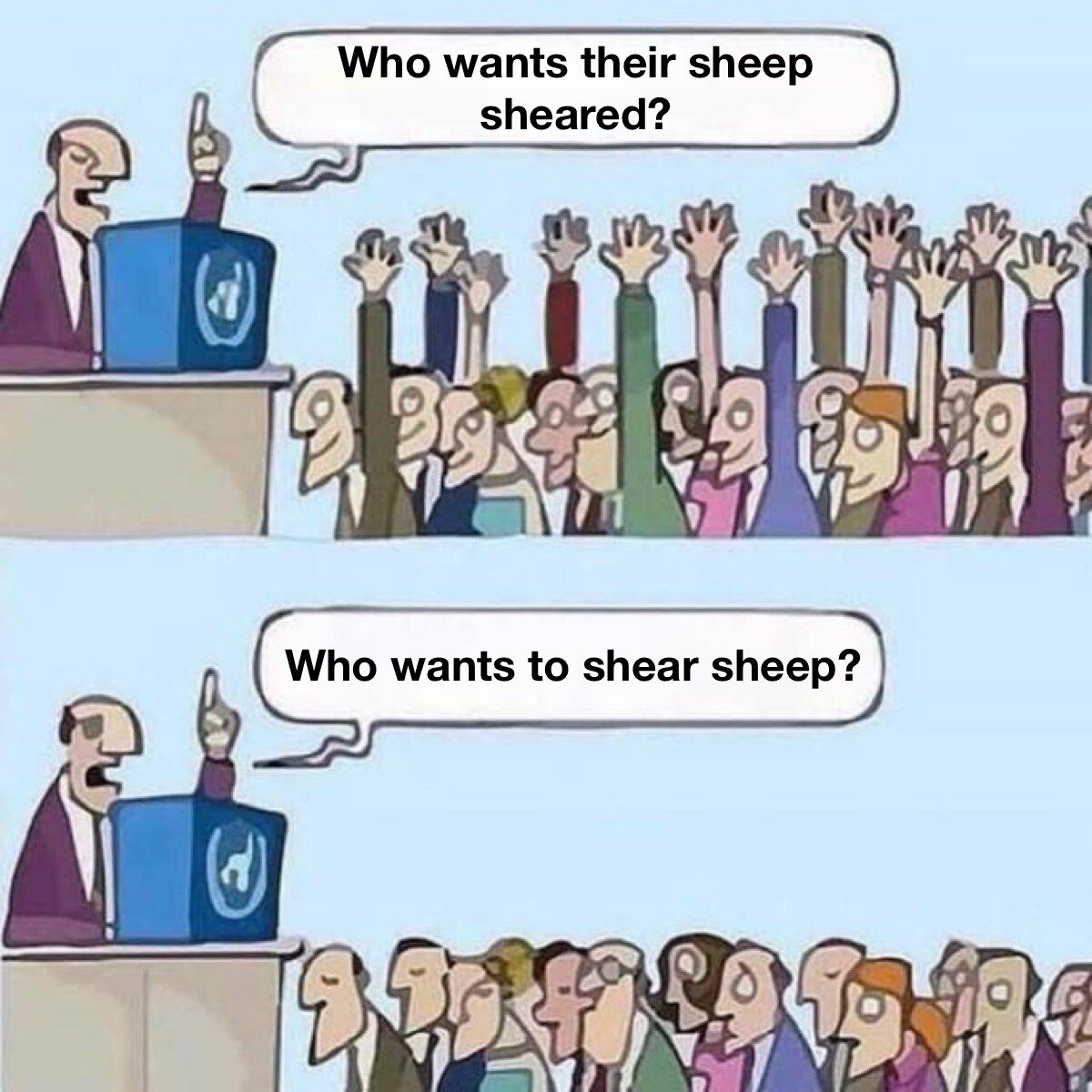 shear_sheep